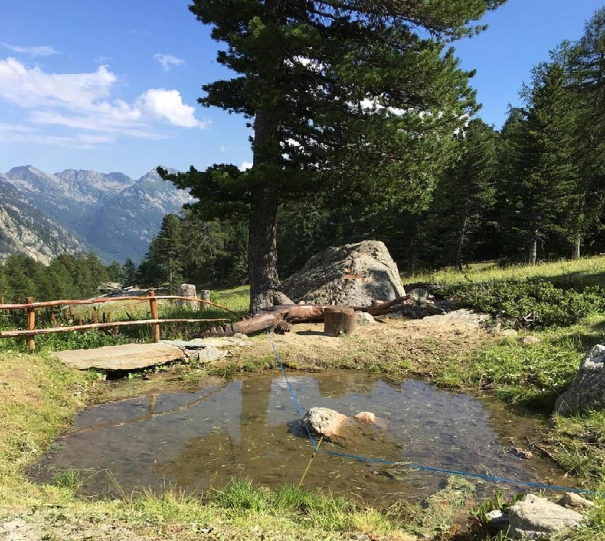 Baite Cialvrina Vila Gressoney-Saint-Jean Exterior foto