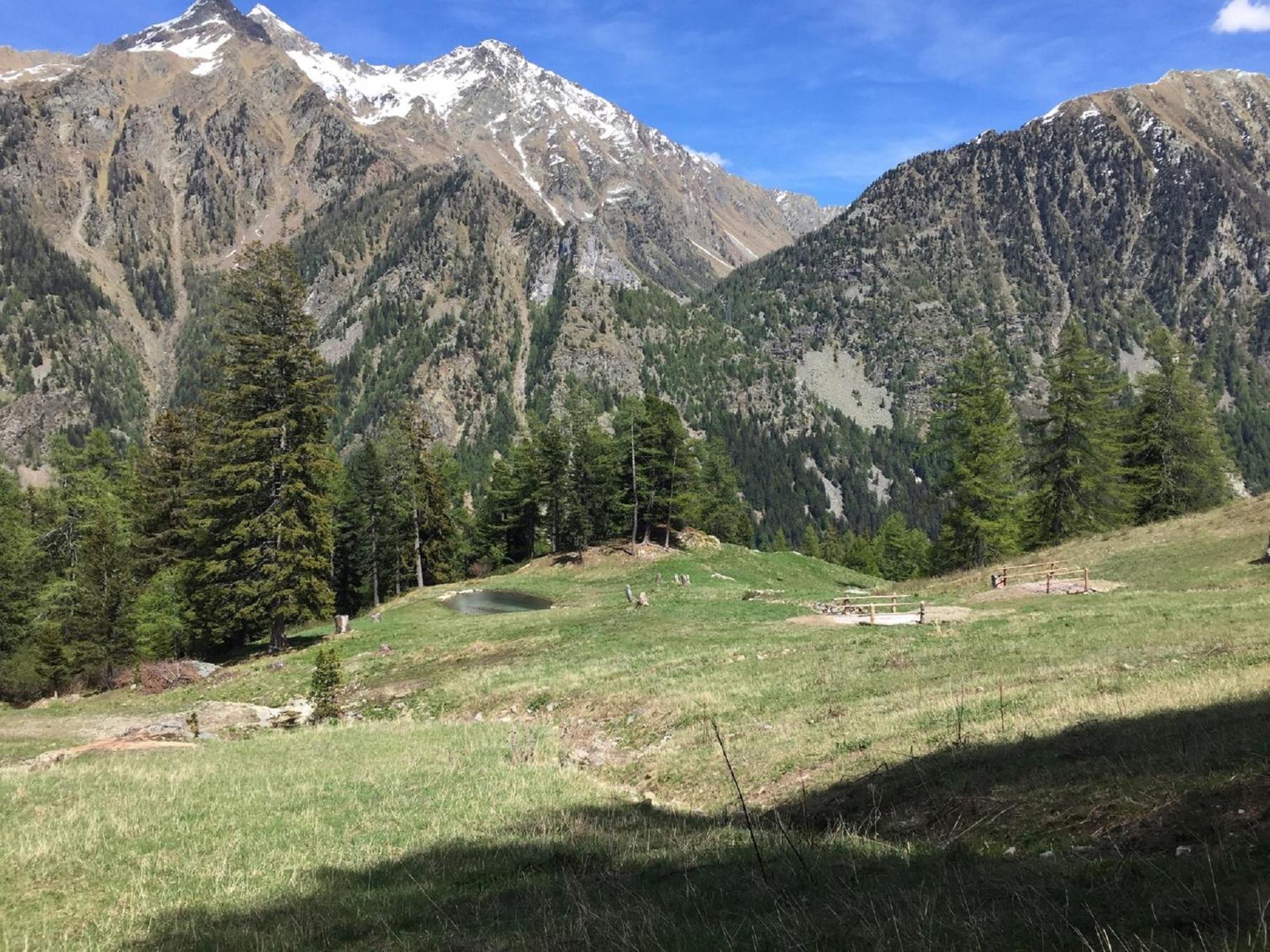 Baite Cialvrina Vila Gressoney-Saint-Jean Exterior foto