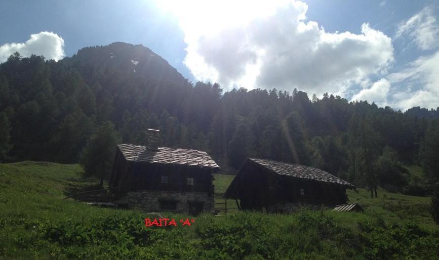 Baite Cialvrina Vila Gressoney-Saint-Jean Exterior foto