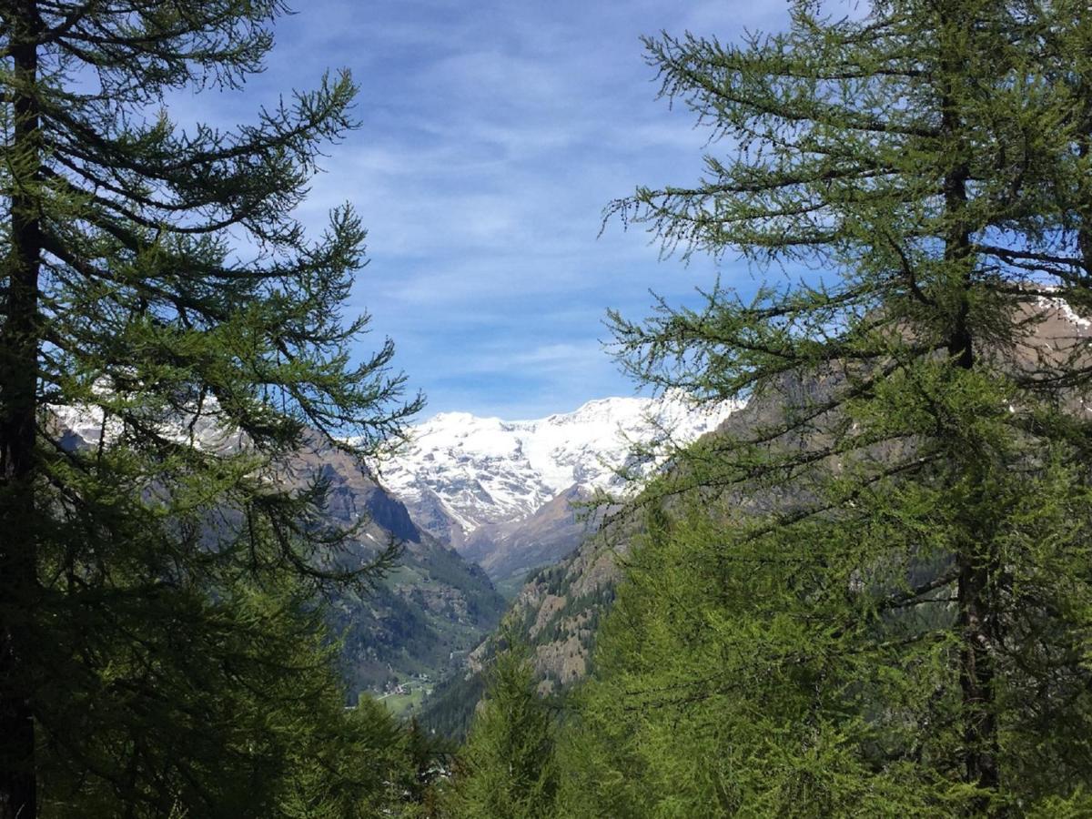 Baite Cialvrina Vila Gressoney-Saint-Jean Exterior foto