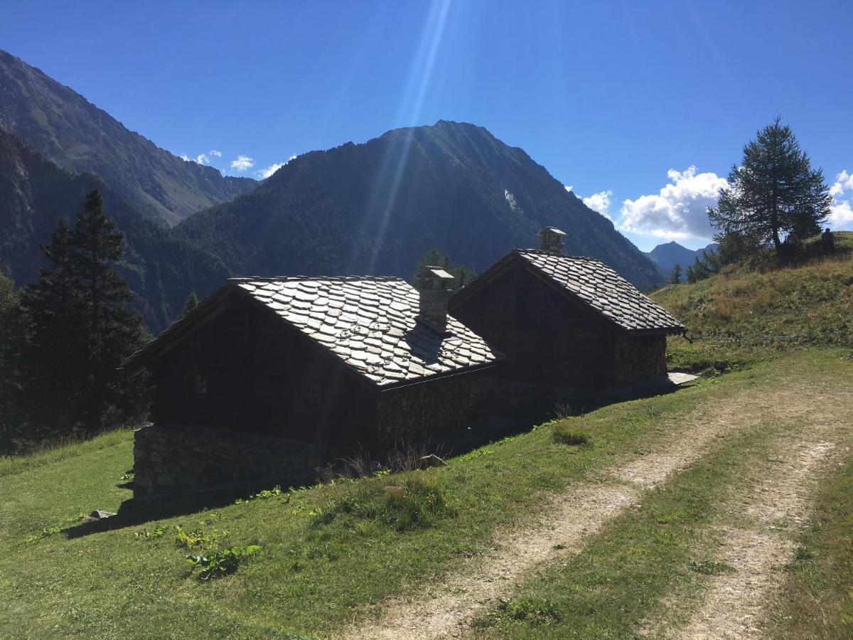 Baite Cialvrina Vila Gressoney-Saint-Jean Exterior foto