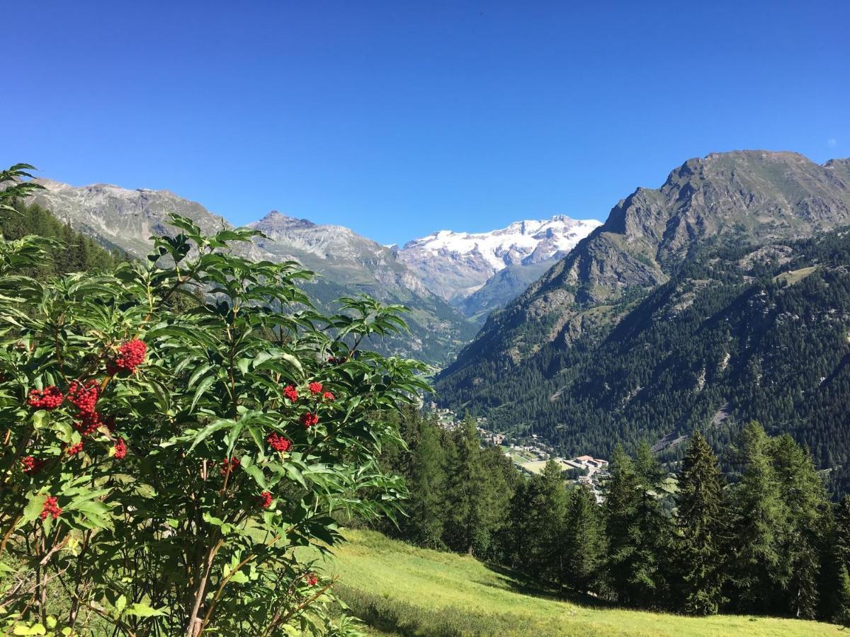 Baite Cialvrina Vila Gressoney-Saint-Jean Exterior foto