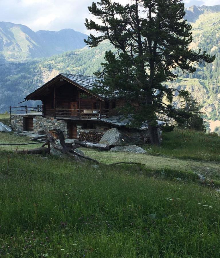 Baite Cialvrina Vila Gressoney-Saint-Jean Exterior foto